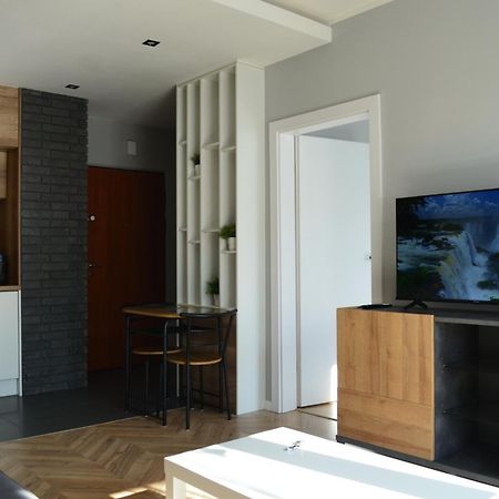Apartment Sosnowiec City - Free Parking - Easy Check-In Εξωτερικό φωτογραφία
